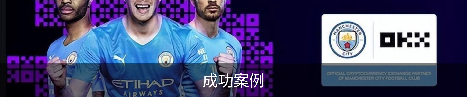 成功案例