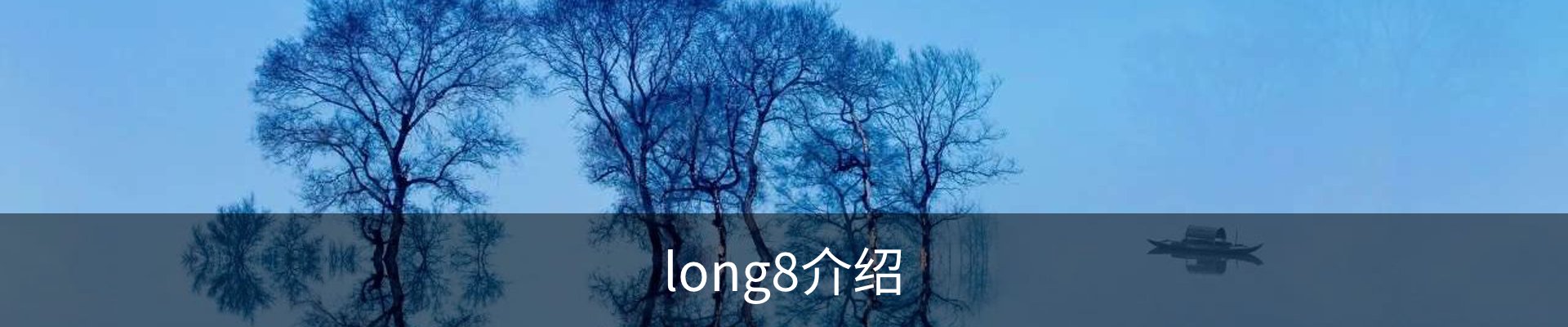 long8介绍